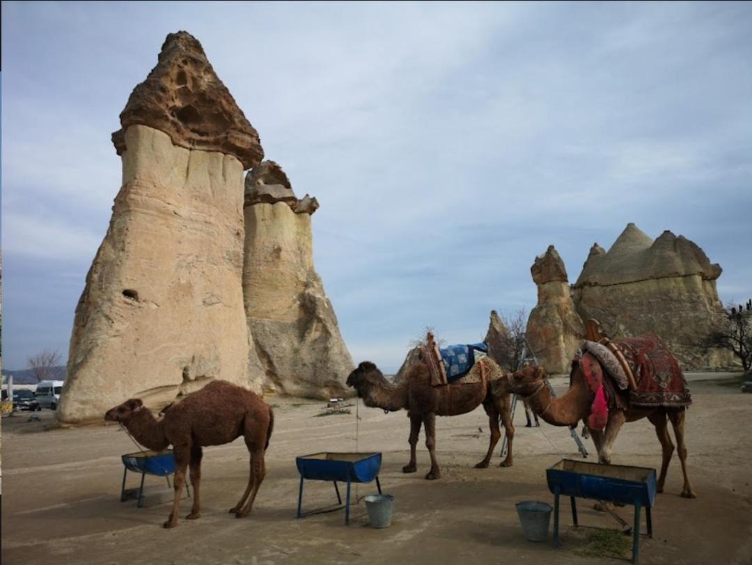 Sandik Cave Suites Nevşehir Eksteriør billede